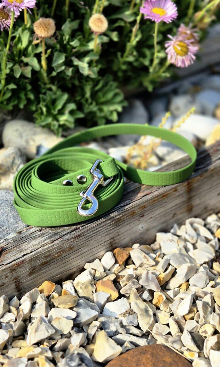 Bright green waterproof longline coiled on weathered wood, featuring nickel hardware and textured BioThane surface, with garden flowers behind.