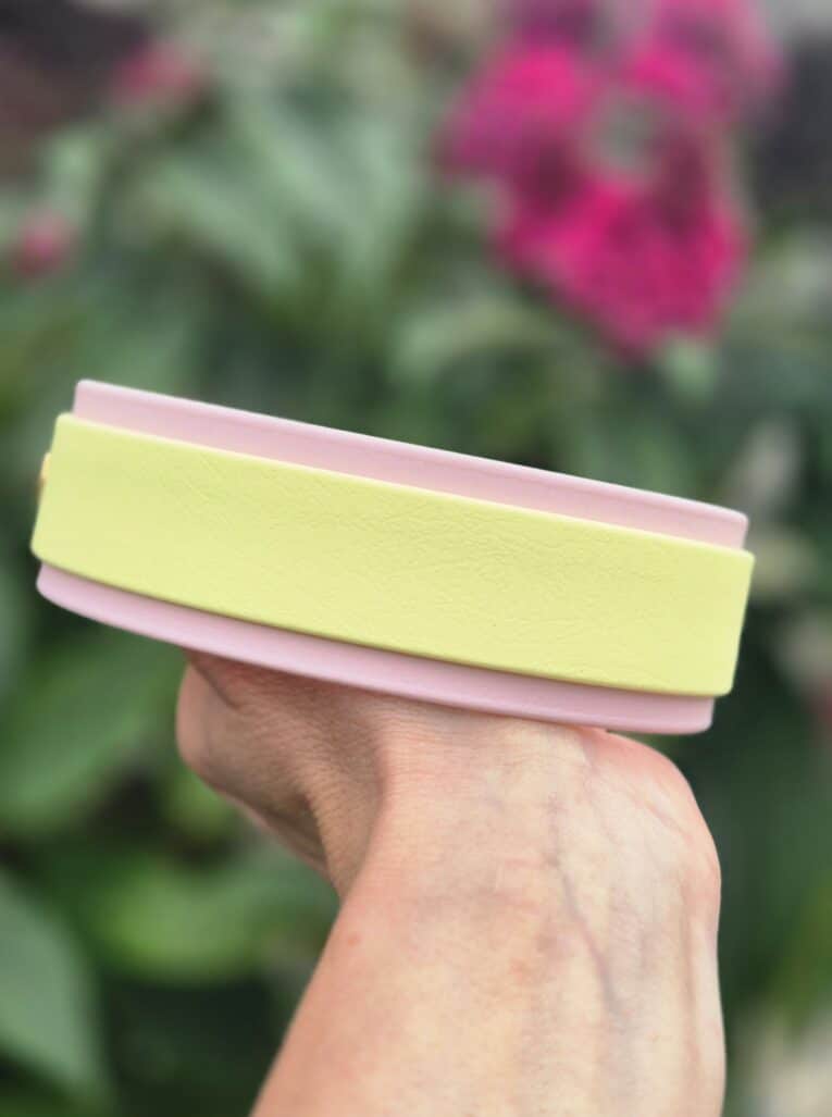 Hand holding layered custom hound collar in yellow and pink, garden backdrop.
