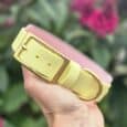 Cream custom hound collar with solid brass buckle and hardware, held against blooming pink flowers.