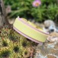 Pale yellow and pink double layer hound collar displayed on textured green succulent in garden setting.
