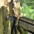 Aubreys x Lutchfords paracord collar and BioThane lead in beige, navy, and olive with antique brass hardware.