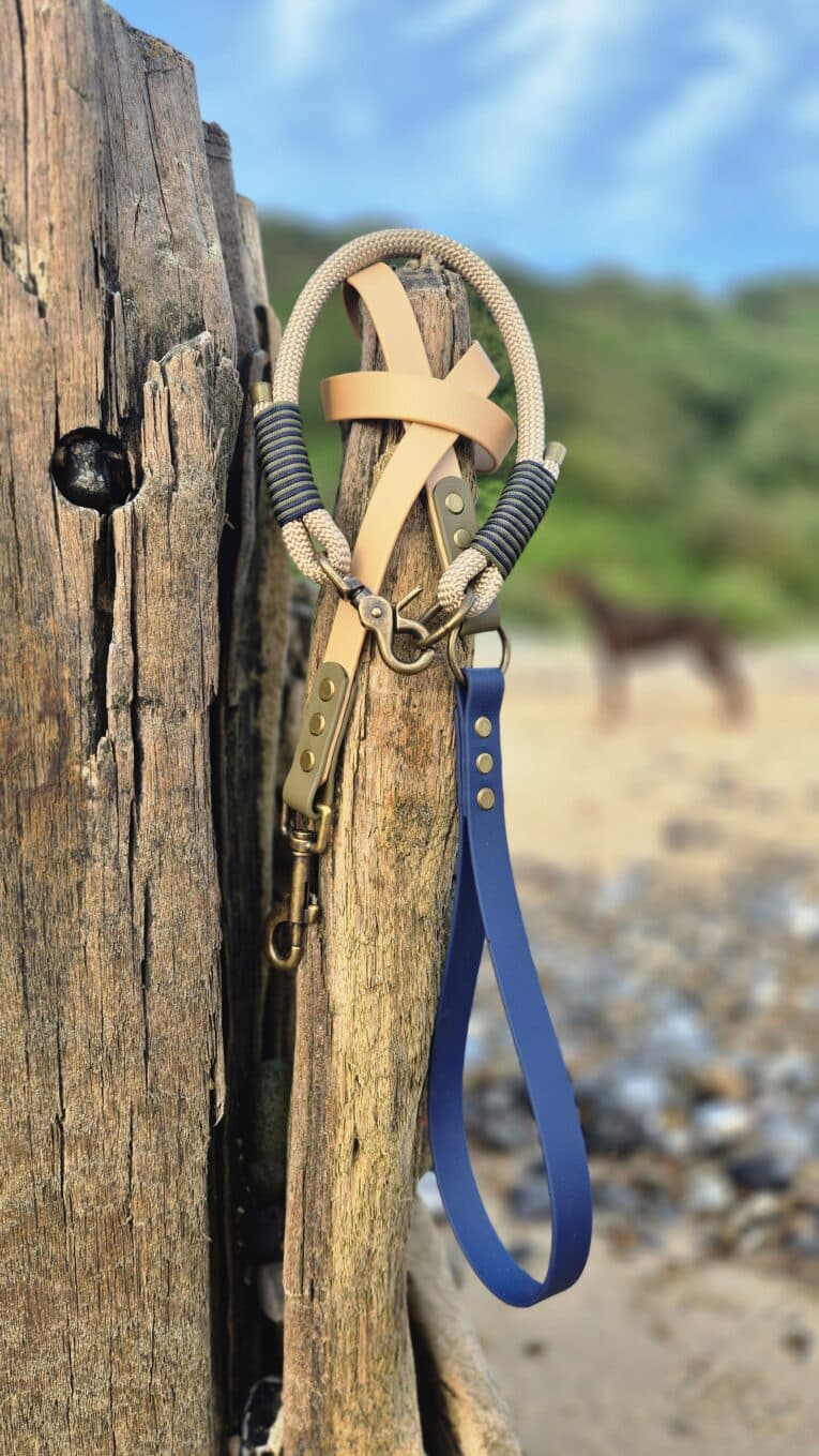 Aubreys x Lutchfords collaboration lead and collar set displayed on weathered wood, featuring beige paracord, navy BioThane, and antique brass hardware.