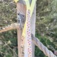 Pastel yellow BioThane lead with printed floral accents, secured to wooden post with rope.