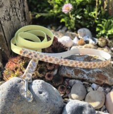 Pastel printed BioThane lead coiled beside rocks and succulents in a sunny garden setting.
