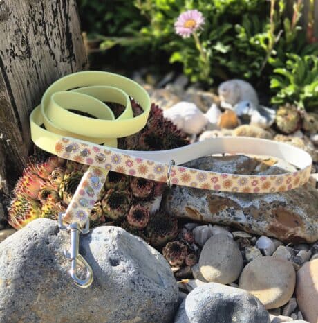 Pastel printed BioThane lead coiled beside rocks and succulents in a sunny garden setting.