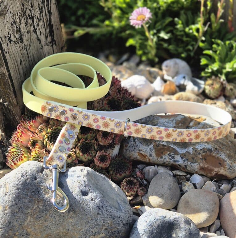 Pastel printed BioThane lead coiled beside rocks and succulents in a sunny garden setting.