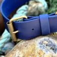 Navy BioThane extra wide collar with antique brass hardware, displayed on a textured stone outdoors.