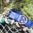 Royal blue extra wide BioThane collar with antique brass hardware, displayed on weathered netting outdoors.