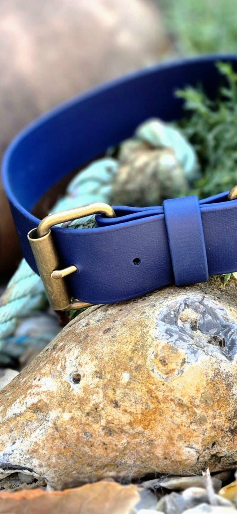 Navy BioThane extra wide collar with antique brass hardware, displayed on a textured stone outdoors.