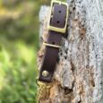 Adjustable martingale half-check collar in dark brown BioThane with brass hardware, displayed on weathered wood.