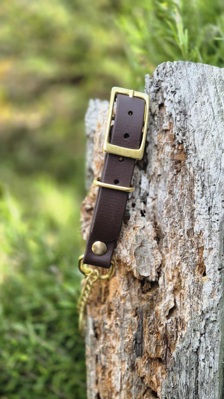 Adjustable martingale half-check collar in dark brown BioThane with brass hardware, displayed on weathered wood.