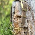 Adjustable BioThane martingale half-check collar with brass hardware and chain attachment, displayed on weathered wood.