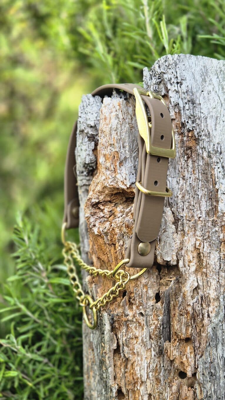 Adjustable BioThane martingale half-check collar with brass hardware and chain attachment, displayed on weathered wood.