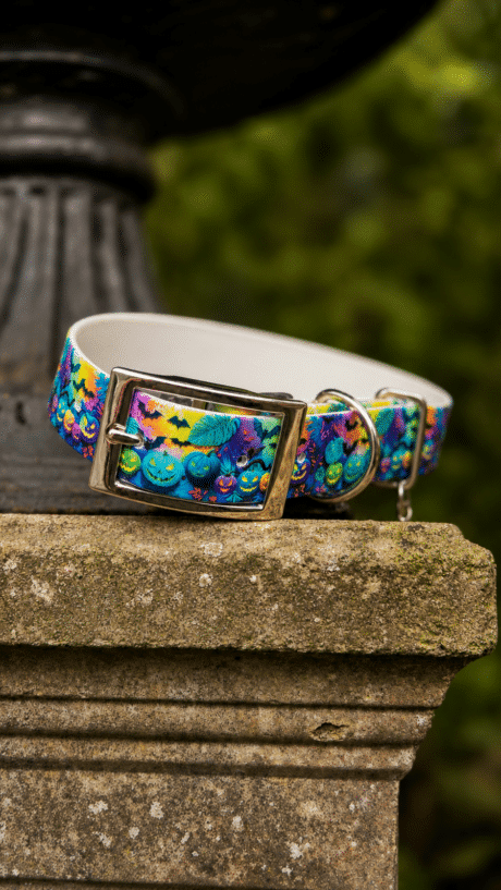 Halloween Print Collar